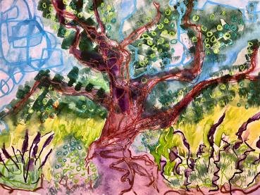 eucalyptus tree canopy over a lavender field, 2025, by maansi jain